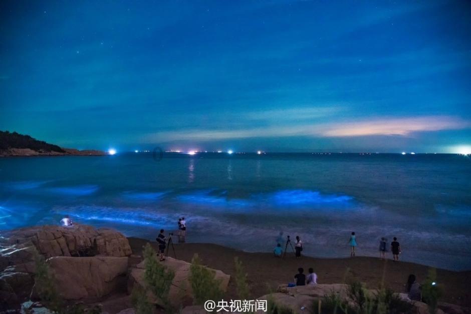 海滩小镇逃生